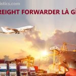 Freight Forwarder Là Gì? Phân Biệt Freight Và Cargo Là Gì?