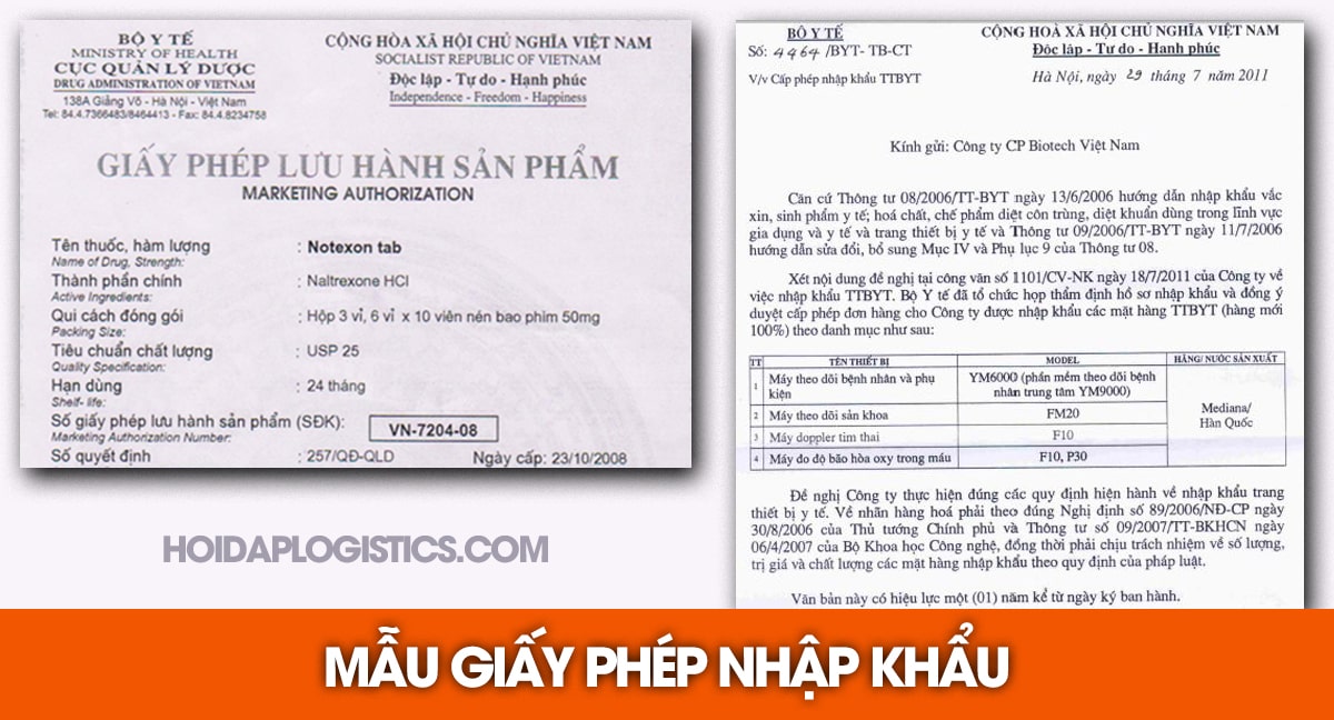 Mẫu giấy phép nhập khẩu