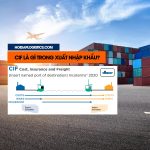 CIF là gì trong xuất nhập khẩu? Giá CIF bao gồm những gì?